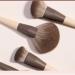 Premium Makeup Brush Set - Scratch-Proof Eye Shadow Brushes for Flawless Beauty | International Shipping - Buy Online on GoSupps.com