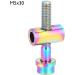 Titanium Alloy Bike Seatpost Screw - Symphony M5x30 | Seat Clamp Replacement Parts - Buy Online on GoSupps.com