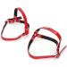 Yuyte Women s High Heels Laces - Removable Shoe Straps & High Ankle Straps in Red | Perfect Accessory for High Heels & Sandals - Buy Online on GoSupps.com