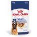 ROYAL CANIN Maxi Adult | Double Pack | 2 x 10 x 140 g | Complete Food for Dogs | for Large Adult Dogs (26 to 44 kg) | From 15 Months to 5 Years - Buy Online on GoSupps.com
