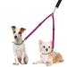 Nasjac double dog leash no tangling 360 rotatable splinter double linen for two dogs adjustable shock-damping bungee-reflecting leash for dogs small medium and large running training small (3-9 kg) foxie