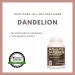 Remedy's nutrition Dandelion Root | 1 000 mg 60 Vegan Capsules Herbal Dietary Supplement | Two Month Supply - Buy Online on GoSupps.com