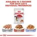 Royal Canin Instinctive Adult Wet Cat Food in Gravy 48 x 85g Multipack - Buy Online on GoSupps.com