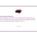 Astaxanthin 12mg Softgel Supplement for Joint, Eye, Skin & Brain Health - 30 Softgels - Buy Online on GoSupps.com