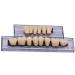 168 Pcs Dental Synthetic Resin Teeth Denture Set for Halloween - Horror False Teeth 23 A2 - Buy Online on GoSupps.com