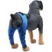 Pet Dog Knee Brace ACL Brace for Dogs Rear Leg Dog Braces for Back Leg for Support for Heals Prevents Injuries Sprains Blue Large Large Blue - Buy Online on GoSupps.com