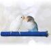 SunGrow Wooden Bird Perch, Naturally Keeps Pet Bird Nails Trim and Beaks Smooth, Quartz Sand Covered Wood, Perfect Length for Cockatiels, Parakeets, Lovebirds, Finches 11.8 Inches Blue