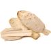 Buy Organic Coprinus Comatus Powder for Animals 300g Vital Mushrooms Pure Crowding Powder Highest Quality 1 Can - Buy Online on GoSupps.com