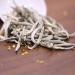 LWXLJMJZC Osmanthus Silver Needle White Tea-White Tea-Loose Leaf Tea-Osmanthus Blend White Tea 50g/1.76oz - Buy Online on GoSupps.com