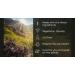 Highland Soap Company Hand Care Gift Set | Organic Hand Wash & Lotion in Tweed Bag - Winter Sweet Orange & Cinnamon - Buy Online on GoSupps.com