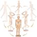 Alikeke 2 Pack 12 Wooden Mannequin Artist Manikin with Stand - Ideal for Drawing & Decor (Men/Women Dad/Mom) - Buy Online on GoSupps.com