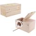 Nesting Box Cage for Parakeets, Budgies, and Small Birds - Coconut Fiber Wood Breeding House with Perch - Ideal for Finch, Canary, Cockatiel, Lovebird, Sparrow - Buy Online on GoSupps.com