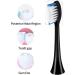 Replacement Brush Heads for Olybo Electric Toothbrush - Set of 6 Black Replacement Brushes - Buy Online on GoSupps.com