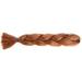 Braided Ponytail Extension Trendy Firm Fixed Ponytail Extension Wig 24in for Party (30#) - Buy Online on GoSupps.com