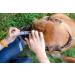 Strong Wire Metal Basket Dog Muzzle for Rottweiler, Mastiff, Golden Retriever | R1 Black/Black Leather - Buy Online on GoSupps.com