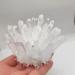Home Decor 1pcs Natural Raw Quartz White Clear Crystal Cluster Stones Crystal Point Specimen Home Decoration Raw Crystals Gifts Natural Crystal (Size : 700-800g) Crystal Cluster (Size : 300-400g) - Buy Online on GoSupps.com