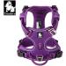 Truelove No Pull Dog Harness | Reflective & Adjustable Pet Vest | Soft Padded Dog Harness with Handle - TLH56512 L Purple - Buy Online on GoSupps.com