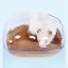 Timeshunall 1 Pcs Hamster Bathroom Washroom Clear Toilet Box Sand Bath Container Cute Hamster Bathroom for Small Animal Hamster Gerbil - Buy Online on GoSupps.com