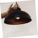 Chandelier Pendant Light Iron Hanging lampshade Retro Ceiling lamp Pendant lamp Ceiling Lights Hanging lamp Shade Vintage Ceiling Light Vintage lamp Shade Lighting Branches Fixture Beauty Comes - Buy Online on GoSupps.com