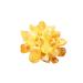 Natural Crystal Rough Natural Crystal 200-300g Natural Yellow Quartz Cluster for Home and Office Decoration Crystal Stone