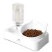 Marchul Gravity Water and Food Bowls Cat, Cat Dog Tilted Water and Food Bowl Set