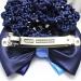 KDDOM Lady Bow Hair Bun Net - Blue | Professional Woman Barrette Snood Net Hair Clip - Buy Online on GoSupps.com
