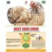Pampered Chicken Mama 1.25 lb Backyard Chicken Treats - Natural Feed for Great Eggs - High Calcium Hen Supplement (10 oz) - Buy Online on GoSupps.com