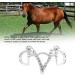HEEPDD Stainless Steel Kimberwicke Bit with Deep Chain Mouth & Chewing Roll - 125mm | Premium Equestrian Equipment for International Shipping - Buy Online on GoSupps.com