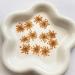 100pcs Ammi Majus Natural Pressed Dried Flowers for Resin, Soap & Candle Making (Orange) - Buy Online on GoSupps.com