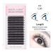 Yy Eyelash Extension D Curl 0.07 - 8mm Mixed Tray with Prefabricated Compartments | Premium Individual Lashes - Buy Online on GoSupps.com