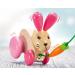 Buy Selecta 62023 Hanna Hoppel Pull-Along Rabbit Toy | Wooden Push & Pull Toy 13 cm - International Shipping Available - Buy Online on GoSupps.com