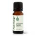 Plant Therapy Eucalyptus Radiata Essential Oil 10 mL (1/3 oz) 100% Pure Undiluted for Aromatherapy Respiratory Support & Focus 0.33 Fl Oz (Pack of 1)