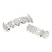 Shop Unique Silver Rhinestone Denture Sets for Halloween & Festivals | Perfect for Parties & Role-Playing Games - Buy Online on GoSupps.com
