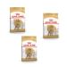Royal Canin Poodle Adult | Pack of 3 | 3 x 500 g | Dry food for Adult Poodle | to support coat and muscle tone | for dogs from 10 months