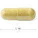 Women's Progressive Adult Multivitamin with Cranberry, Green Tea & Green Food Concentrates - 120 Capsules - Buy Online on GoSupps.com