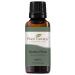 Plant Therapy Scots Pine Essential Oil 30 mL (1 oz) 100% Pure Undiluted Therapeutic Grade