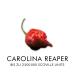 Scovilla's Reaper's Knockout 100ml - Extreme Hot Sauce with Carolina Reaper | All-Natural Ingredients | International Shipping - Buy Online on GoSupps.com