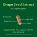 BESTVITE Grape Seed Extract 500mg (120 Vegetarian Capsules) - No Fillers - No Stearates - Vegan - Non GMO - Gluten Free - Standardized to 95% Total Polyphenols - Buy Online on GoSupps.com