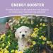 Pets Purest Life Drops for Puppies 10ml - Natural Puppy Gut Health & Energy Booster for Organ Development & Digestive Support - Buy Online on GoSupps.com