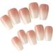 Ruarby Coffin Nail Tips Press On Nail Tips Clear False Nails Tips Full Cover Nail Tips with Positioning Line Nail Extension Tip - Buy Online on GoSupps.com