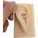 Human Ear Model Flexible Soft Silicone Imitation Real Ear Teaching Model -1 Pair Ear Mold Artificial Display Sample Educational Resources in Scienc - Buy Online on GoSupps.com
