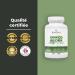Bandini Ginkgo Biloba 6000mg 365 comprim s (1 an) 50:1 Extrait pur de Ginko Biloba avec Flavones Glycosides et Terp nes Lactones Compl ment alimentaire haute dose nootropique Sans OGM 100% Vegan - Buy Online on GoSupps.com