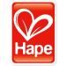 Hape E0341 - Dancing Butterflies | International Shipping | Quality Educational Toys - Buy Online on GoSupps.com