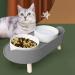 No-Spill Elevated Ceramic Cat Food Bowls | Adjustable Heights | Anti Vomiting Pet Bowl | Dark Gray | 16 oz Capacity - Buy Online on GoSupps.com