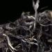 Pu-erh tea 2022 Ebon 200g*5 Raw - Buy Online on GoSupps.com