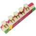 Anatomical Dental Lab Equipment - Oral Hygiene Model for Periodontal Disease & Tooth Classification - International Shipping - Buy Online on GoSupps.com