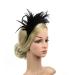 Lurrose 20s Feather Headband - Vintage Black Hairband for Weddings & Gatsby Parties | International Shipping Available - Buy Online on GoSupps.com
