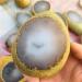 280-300g Natural Rough Agate Stone Raw agate1pc Can be Used for ningxiao - Buy Online on GoSupps.com