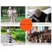 Adjustable Crutches Foldable Canes Walking Stick Aluminum Alloy T Handle Non-Slip Base with Small 4 Leg Base with LED Light- Balck Family - Buy Online on GoSupps.com