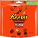 Chocolate Peanut Bundle With Reeses Minis Unwrapped Peanut Butter Cups 185g (2 Pack) - Buy Online on GoSupps.com